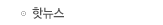 ִ
