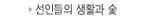 ε Ȱ 