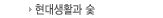 Ȱ 